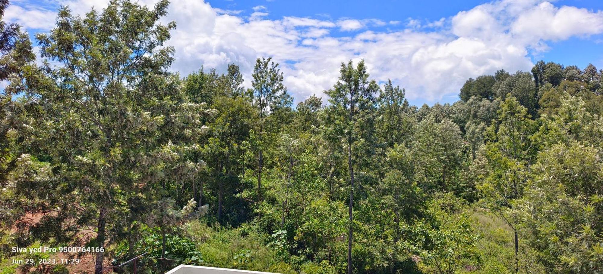 Ambience Villas Yercaud Exterior foto